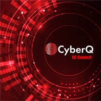 CyberQ-A Hacker Simulation Experience