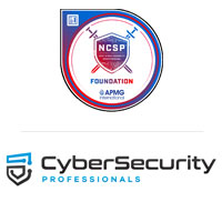 Cyber Security Professionals