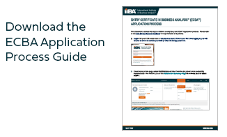Download the ECBA process guide